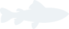 fish 1 1
