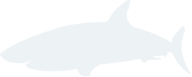 fish about 3 2