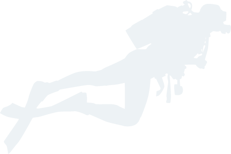 swimmer contact 1