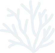 tree about 3 1