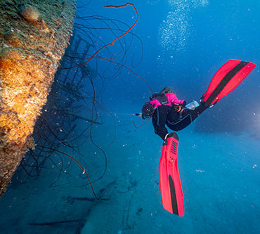 Dive Master BLOCK 01