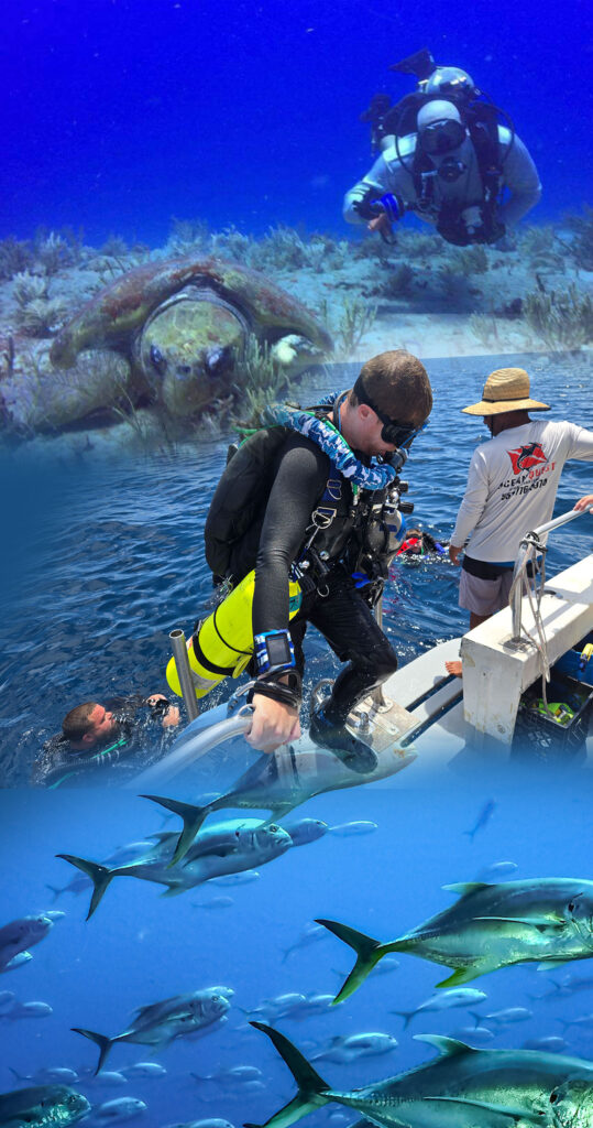 DiveSites Image 01