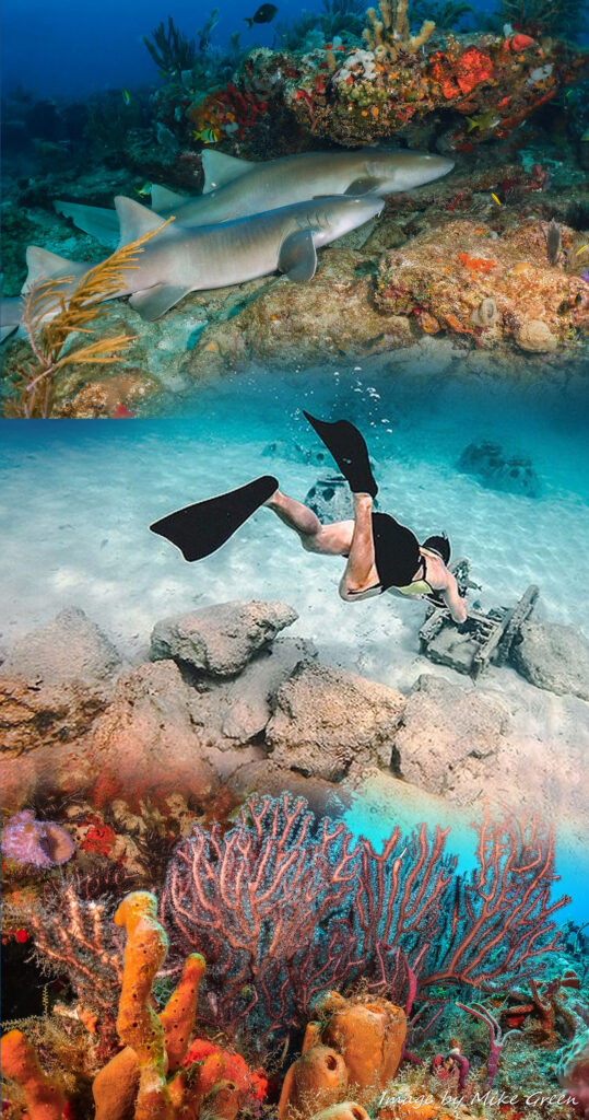 DiveSites Image 02