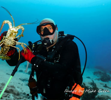 Lobster Hunting
