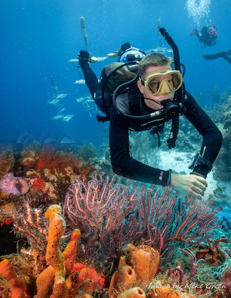 ReefOffShore 01