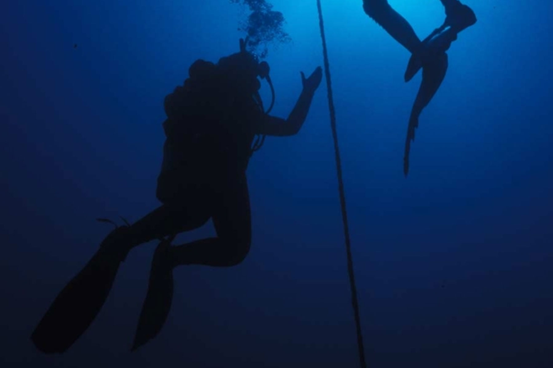 Night Diver Block 01